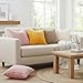 decorUhome Cozy Faux Fur Throw Pillow Covers 26x26 Set of 2 Decorative Soft Plush Striped Modern Farmhouse Boho Couch Euro Sham Pillow Cases with Velvet Back for Sofa Bed Living Room, Cream White