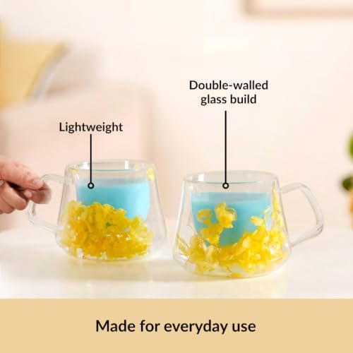 Image of Nestasia Double Wall Glass Mug with Dried Flowers Set of 2 (180ml Each) - Transparent Borosilicate Floral Glass Tea Cups | Lightweight & Durable Coffee Mugs - Perfect for Gifting (Yellow)