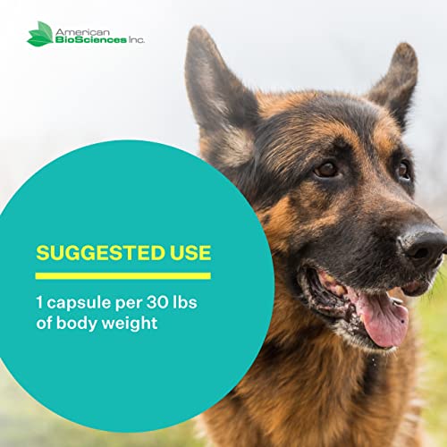 NK-9, AHCC Supplement for Dogs & Cats – Dietary Supplement to Support Immune System – Made for Pet’s Immune Defenses – 30 Capsules, 250mg/capsule NK-9, AHCC Supplement for Dogs & Cats – Dietary Supplement to Support Immune System – Made for Pet’s Immune Defenses – 30 Capsules, 250mg/capsule
