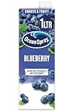 Ocean Spray Blueberry Fruit Juice Drink | 1L Carton | Vitamin C, High in Antioxidants, No Artificial Ingredients