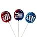 Patriotic USA Flag Charms Sweet Pops, 9 oz. Bag,Red, White and Blue,15 Count (Pack of 1)
