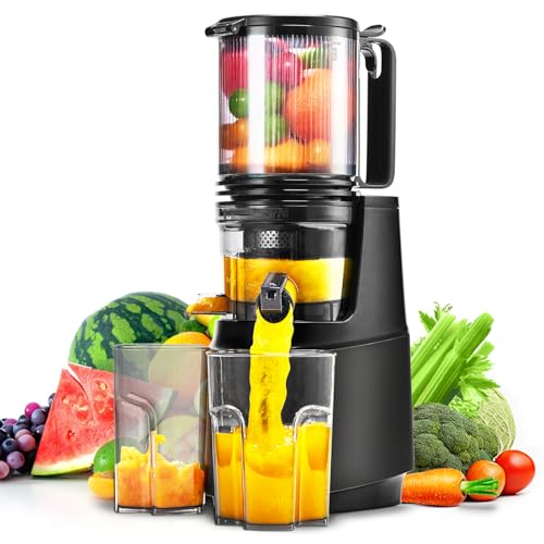 Cold Press Juicer,Slow Masticating Juicer Machines with 5.3' Large Feed Chute for Most Fruits and Vegetables,Easy to Clean Lemon Orange juicer with 250W Motor and High Juice Yield (Obsidian black)