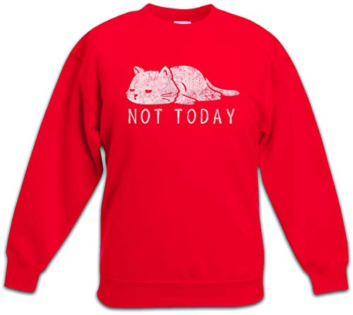 Sweat-shirt enfant résistant et doux pour en finir avec les pulls qui grattent