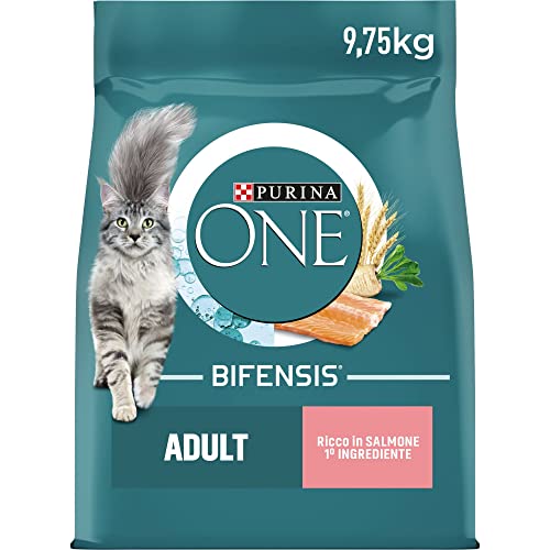 One Chat Bifensis Adulte Saumon/Céréales Complètes Croquettes pour Chats Adultes 9,7 kg