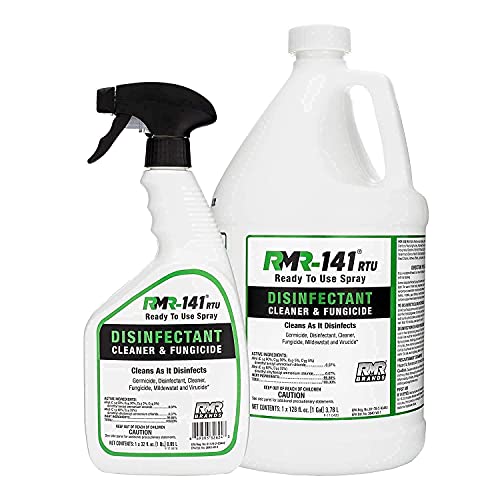 how to kill mold on concrete