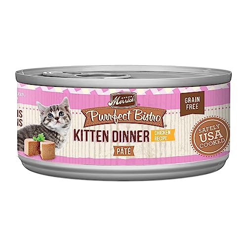 The Best Kitten Wet Food To Buy In January 2024