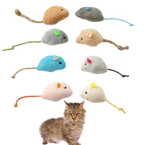 Lifetips XN[J Skookum Lp lY~ʂ 8Zbg qL L V XgXU ^s ӂӂf L炵  ybgObY