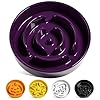 Le tauci dog bowls slow feeder ceramic 15 cup slow feeding bowl for small and medium breed puzzle dog food bowl for fast eater maze purple  urban country home decor