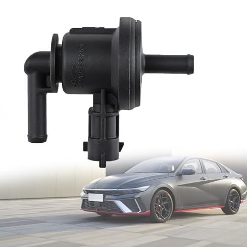 Automotive Replacement Emission Canister Purge Valves Compatible with Hyundai Accent 2010-2020, Veloster 2012-2017, KIA Rio 2011-2017, Soul 2010-2017,1.6L, Replaces #29010-2B000 28910-2B000