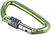 Climbing Technology Lime SG, Moschettone Unisex-Adulto, Verde, taglia unica