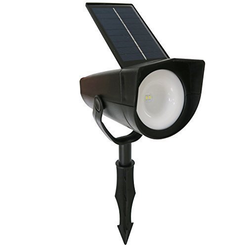 Frostfire Glowzest Solar Spotlight