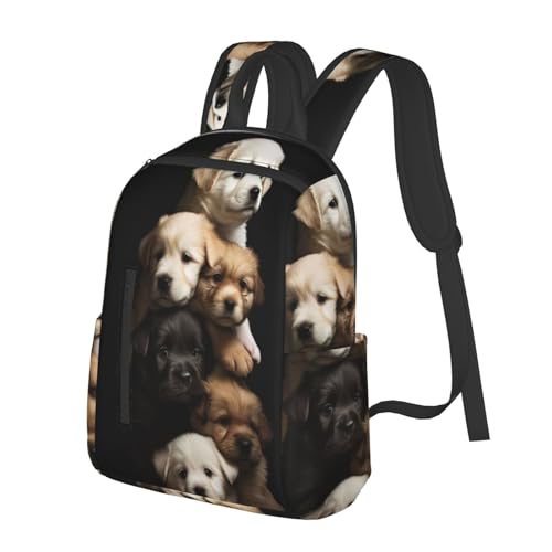 lC VvŃJWAȃhZ   2 obNpbNʊw ΂ s bN e y @\ ʗp hZ