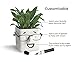 30 Watt | FACE Plant | Novelty Planter That Holds Plants, Glasses & You Can Draw On It. Elegant Ceramic Vase for Succulents, Cacti or Your Average Fern for Your Home | Back to College