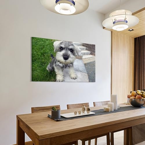 Poster Schnauzer 6 impression artistique déco chambre 60x90cm