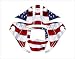 3M SPEEDGLAS 9100 AUTO SW JIG WELDING HELMET WRAP DECAL STICKER SK1 - Flag