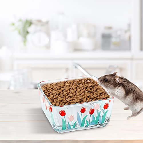 Acsist Hamster Food Bowl Small Animals Glass Water Bowl Food Dish Feeding Bowls For Guinea Pigs Gerbil Mouse Rat Chinchilla Hedgehog Sugar Glider(2 Pack,Tulip) #TOP6