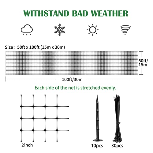 Heavy Duty Bird Net - 25' x 50' Chicken Coop Netting, 2" Mesh, Ideal for Garden, Aviary, Pests, Deer, Fruit Trees