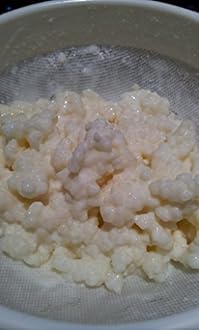Live RAW Milk Kefir Grains culture (Teaspoon)