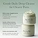 ARENCIA Korean Rice Mochi Face Cleanser - Face Wash, Gentle Scrub All in One for Deep Cleansing, Moisturizing, Pore Minimizing, Acne-Prone Skin, Removing Blackhead with Rice Water & Green Tea
