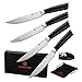 Steak Knife Set by MARKSFORD | Non Serrated Steak Knives Set of 4 | Very Sharp Straight Edge 5" Blades w/Exquisite Micarta Wood Handle | Premium Gift Set Includes Sharpener & Beautiful Packaging