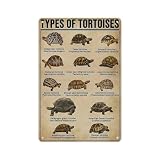 Metal Tin Sign 8 X 12 Inch - Types of Tortoises Chart, Turtle Knowledge - Poster Vintage Metal Plaque, For School Education Farm Family Club Wall Decoration Plaque
