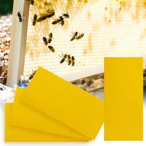 Feuilles de cire d'abeille contre les constructions de travers en ruche - 5