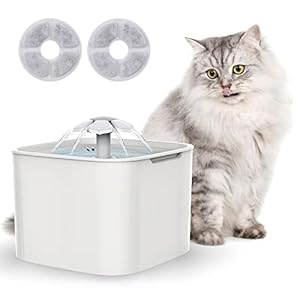 Katzenbrunnen, Katzen Trinkbrunnen, Haustier Wasserbrunnen, Wasserspender inklusive 2 Aktivkohlefilter und 2 Bürsten, extrem leise, 2L