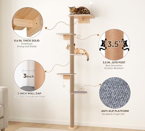 Arbre à chat de 210 cm mural pour grand chat manquant d'espace - 4
