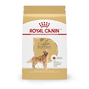 Royal Canin Golden Retriever Adult Dry Dog Food, 30 lb bag