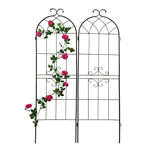 Elegreen 2 Pack Metal Garden Trellis 19.7''X 71'' Rustproof Climbing Plant Support Metal Rose Trellis Vines Support Peas Garden Obelisk Plant Stand Black #TOP3