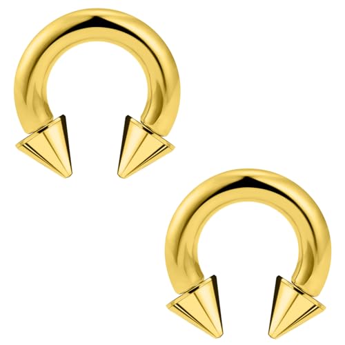 Ftovosyo 2 PAO S T[L[o[x 316L T[WJX`[ ˂6G C[Q[W Zv^O sAXWG[ fB[X Y 12mm