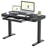 FLEXISPOT EW8B Standing Desk, Home Office Electric Height Adjustable Sit-Stand Desk with 120 * 60cm Black Wood Top, Black