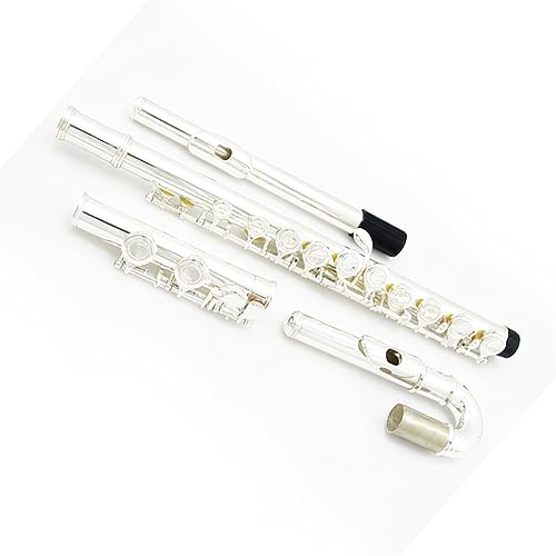 �t���[�g �q���p�t���[�g 16 ���Ȋ� �⃁�b�L�t���[�g ���S�Ҍ��� ���j�o�[�T�����t �t���[�g�y��