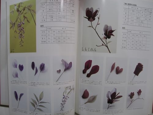 Amazon.co.jp: 安田 早葉子: 本、バイオグラフィー、最新