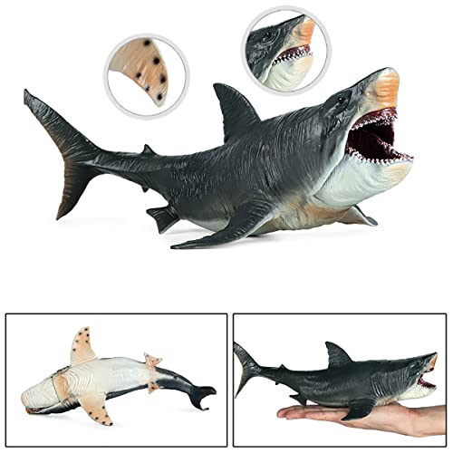 Coyka – Megalodon Action Figure – Great Shark Toy - Prehistoric Sea Creature – Gray – 11 Inch #TOP1