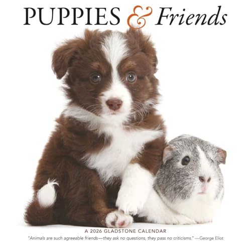 Gladstone Media, Puppies & Friends 2026 Square Wall Calendar