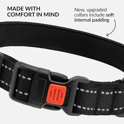 CollarDirect Reflektierendes Hundehalsband für kleinen, mittelgroßen, großen Hund, Welpen mit Schnellverschluss, Hündin, Rüde, 48 Sorten, Nylon Wasserfest