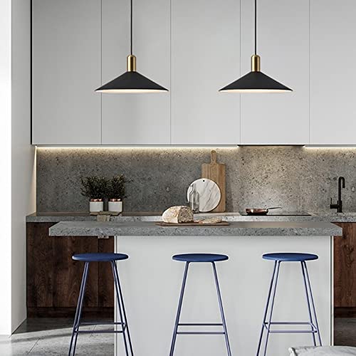 Suspension industrielle vintage avec abat-jour noir et lustre E27