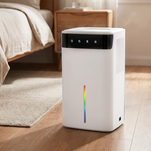 Mini Deumidificatore Elettrico 2600ML, Deumidificatore Portatile con Modalità Notte Silenziosa