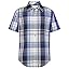 Clematis Blue Plaid