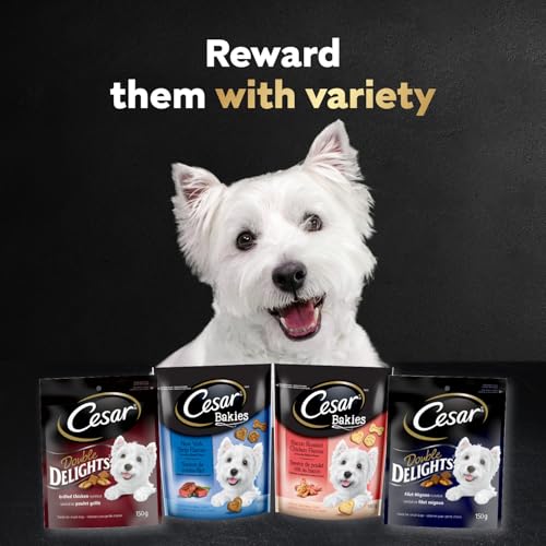 CESAR BAKIES Dog Treats, For Small Breed Adult Dogs, Bacon Roasted Chicken Flavour, Crunchy Texture, Fun Shapes, 550g Resealable Pouch image 7