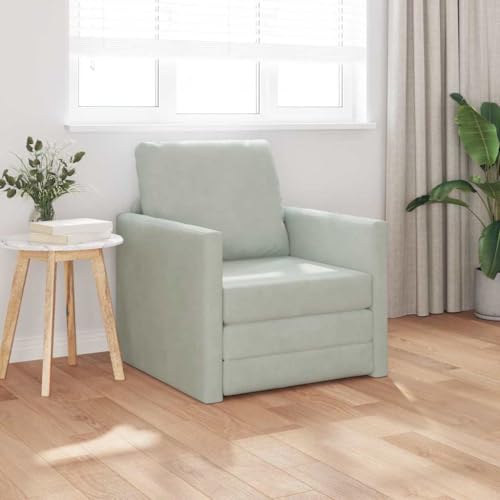 Mokuyary Sofá cama 60 cm gris claro terciopelo sofá salón sofá moderno para oficina, dormitorio apartamento, hogar 1 plaza