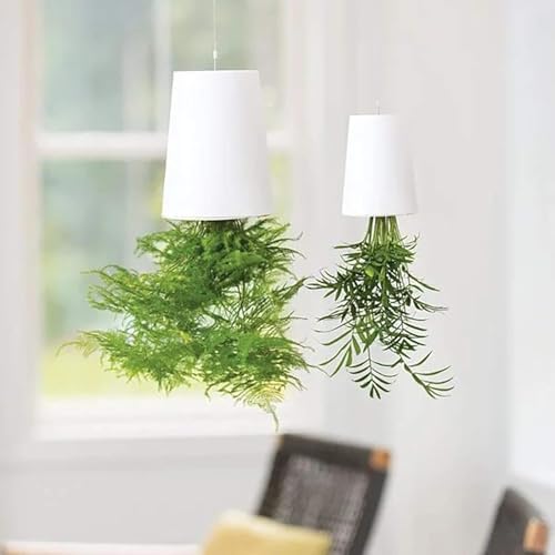 DDUANDA y2Zbgz XJCv^[ t܃v^[ nMOt[|bg v^[ t[|bg XJCv^[ t܂̐A Aؔ nMOv^[ȋz  t݂艺 oRj[K[f z[fR[V