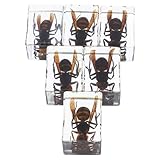 Excellence artisanale : chaque presse-papier est méticuleusement fabriqué à la main par des artisans qualifiés, garantissant la précision et le unique de chaque pièce, résine de collection d'insectes, fournitures pour enseignants de biologie