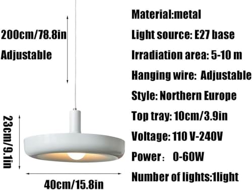 Lustre de Plafond à Tête Unique en Métal Peint