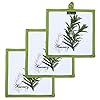 AMOUR INFINI Pot Holders Heat Resistant Cotton Set of 3 Nonslip 8×8 Inch Hot Pads for Kitchen BBQ Baking Cooking with Hanging Loops Herb Garden