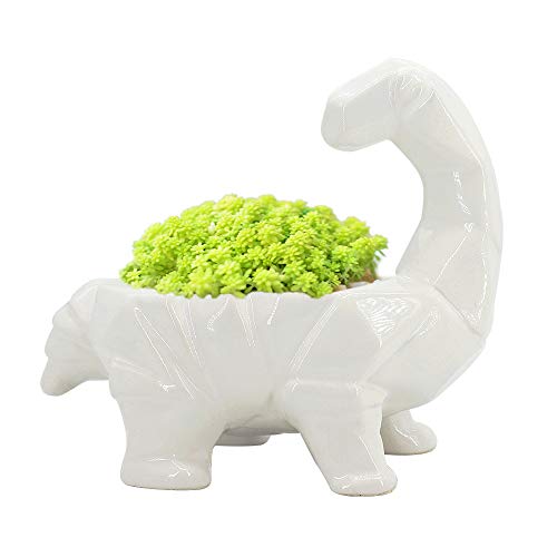 GeLive Planter (White Dino2)