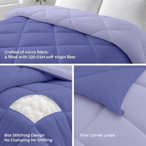 Image of AYKA Reversible Comforter 220 GSM Microfiber Reversible AC Comforter /Blanket for Winter /Quilt /Duvets for King Size Double Bed Comforter (Lavender & Blueberry, Single)