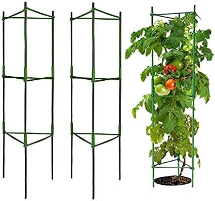Garden Art Pack of 2 Tomato Cage 150 cm Tall | Plant Support, Cages, Stakes, Trelli for Climbing Plants,Creepers, Flowers, Fruits, Vine GATS-5 (Pack of 3) (B09MHLBXH6) Amazon Price History, Amazon Price Tracker