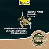 Tetra Pond Flakes - Fischfutter-Flocken für kleinere und junge Teichfische, für eine abwechslungsreiche und ausgewogene Ernährung, 1 L Dose